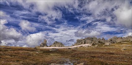 Kosciuszko NP - NSW T (PBH4 00 10762)